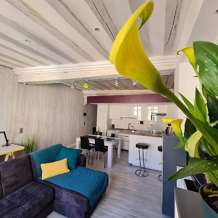 T2 D'Architecte A Troyes Lejlighed Eksteriør billede